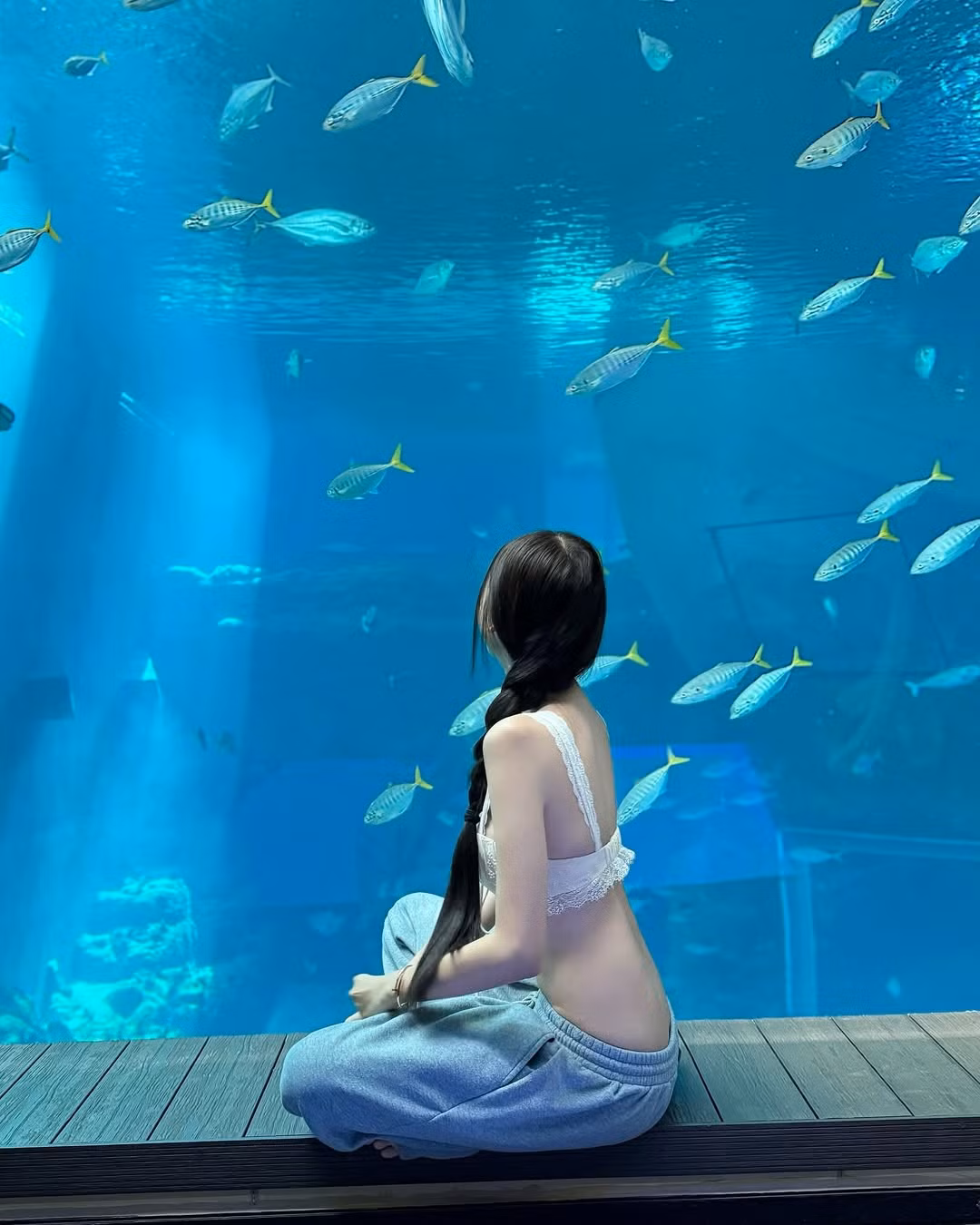 Không chọn những bộ outfit kín đáo thường thấy khi đi chơi thủy cung, cô gái này khiến dân mạng “mắt chữ A, miệng chữ O” khi mang đến sự kết hợp độc đáo giữa sexy táo bạo và năng động, thoải mái. Mái tóc tết dài dịu dàng cùng nụ cười rạng rỡ càng làm nổi bật vẻ đẹp trẻ trung nhưng đầy mê hoặc.
