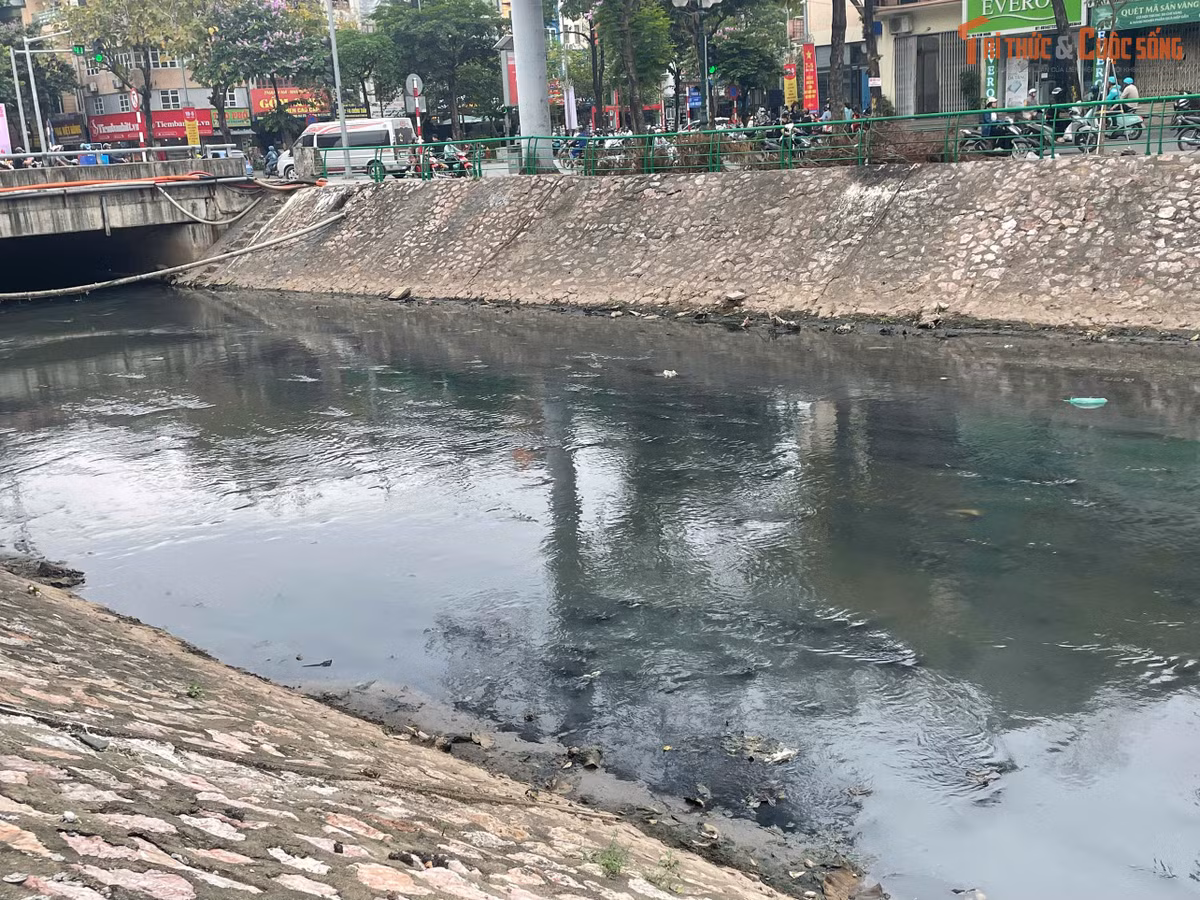 Chỉ đứng đây chừng nửa tiếng đồng hồ, thế nhưng mùi nước sông xộc lên đã đủ khiến cho đầu óc choáng váng...