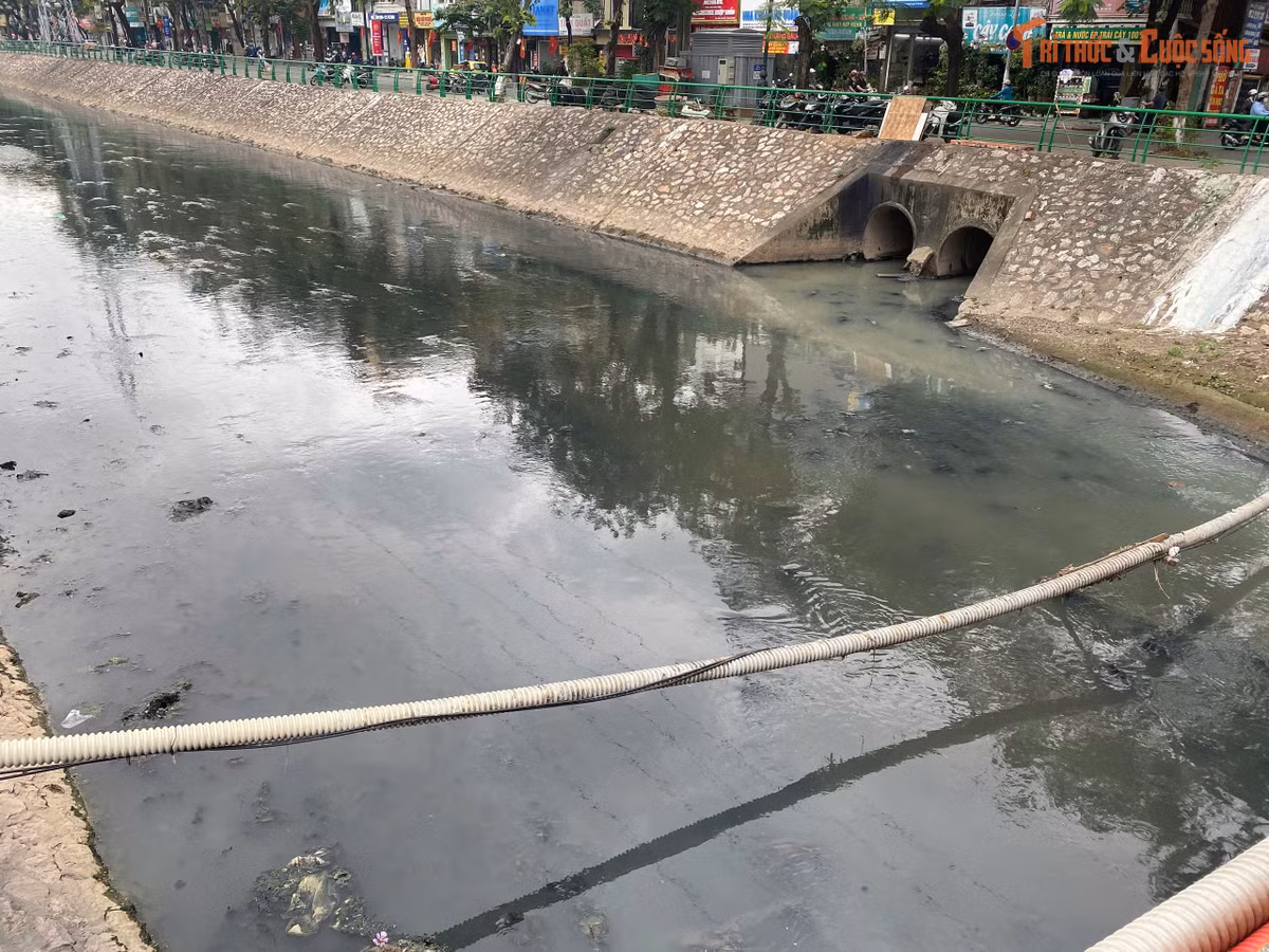 Những họng cống đang xả trực tiếp dòng nước xám xịt ra lòng sông Kim Ngưu. Những ống dẫn chăng ngang dòng nước đen kịt, có chỗ sủi bọt trắng, cho thấy áp lực xả thải sinh hoạt cực lớn mà dòng sông đang phải gánh chịu mỗi ngày.