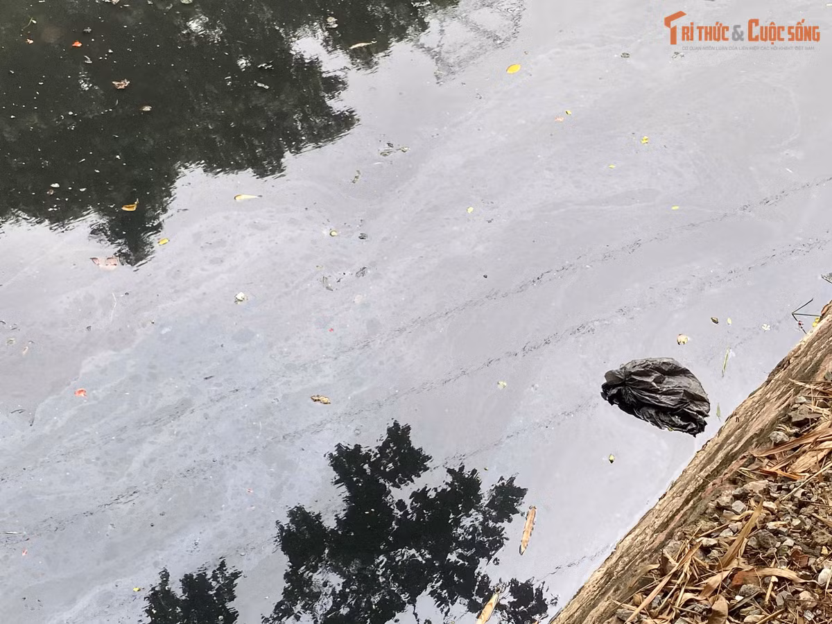 Vì không được thường xuyên dọn dẹp, vớt rác lên khỏi mặt nước, nơi đây bốc mùi hôi thối khó chịu, đặc biệt vào thời điểm bắt đầu vào hè, nắng nóng như hiện nay.