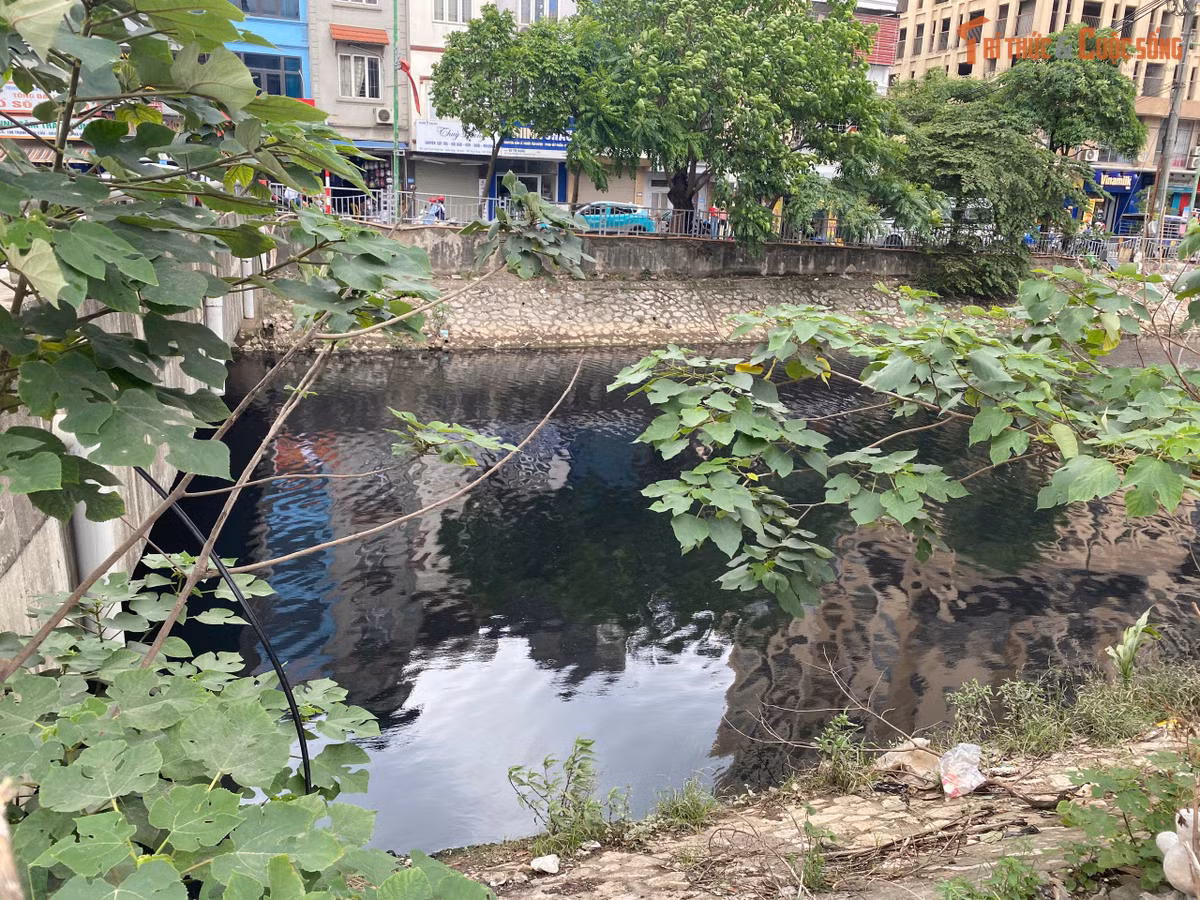 Dòng nước chảy chậm, thậm chí nếu không nhìn kĩ cứ ngỡ như đang đứng yên, dù đang mùa nước cạn nhưng chẳng thể nào nhìn thấy đáy.