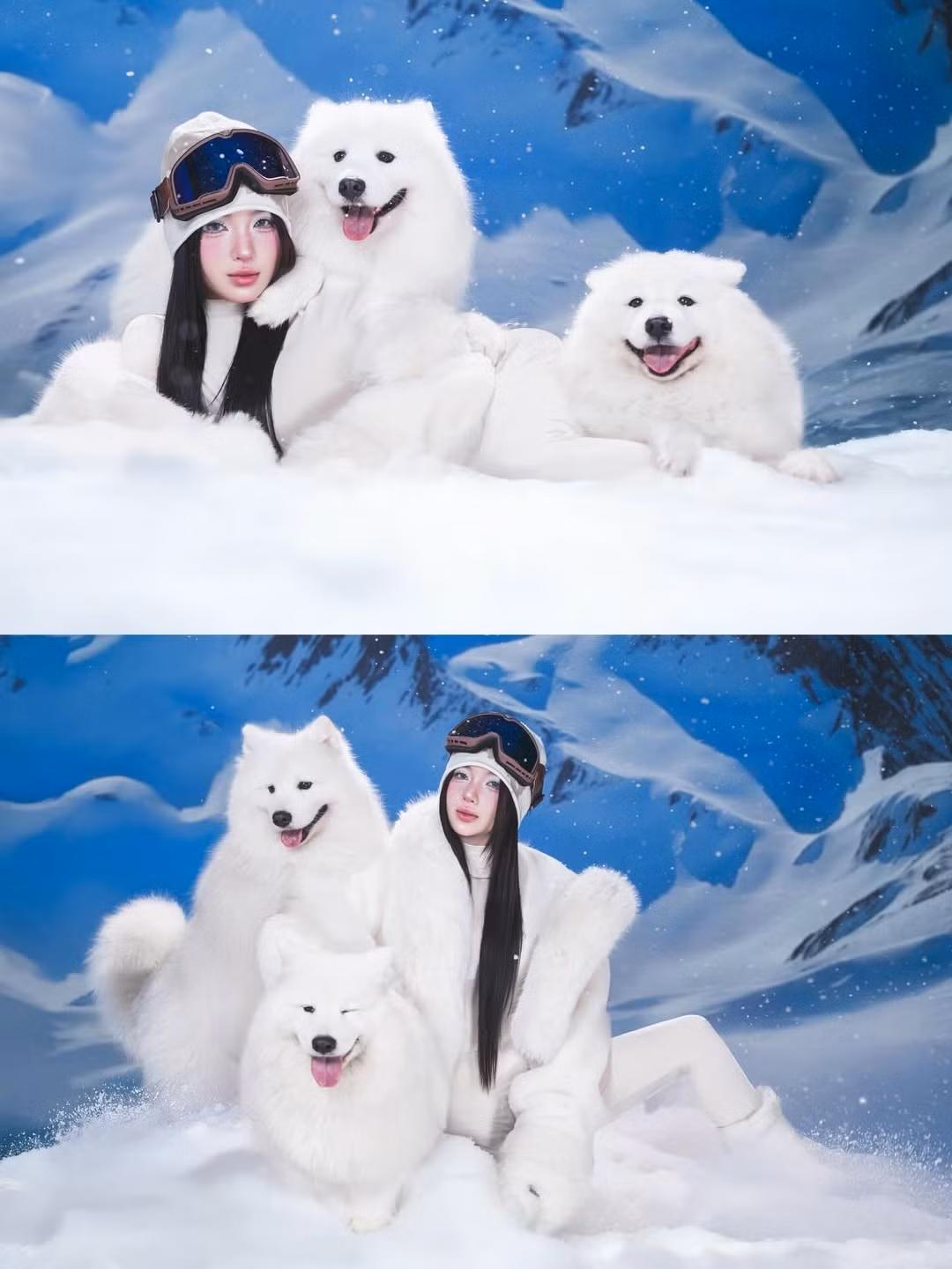 Không thể không nhắc đến sự xuất hiện của hai chú chó Samoyed trắng muốt, với bộ lông dày dặn và nụ cười tươi tắn, tạo thành bộ ba hoàn hảo, tăng thêm tính nghệ thuật và sự đáng yêu cho bộ ảnh. (Ảnh: IGNV)