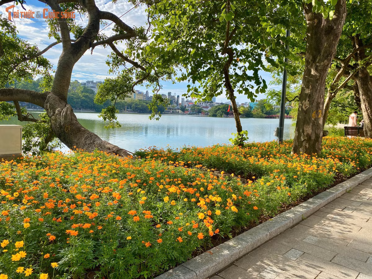 Bên cạnh hồ Gươm, nhiều bạn trẻ đã chọn tận hưởng một ngày cuối tuần ở nhiều địa điểm khác như nhà thờ Lớn, phố Hàng Mã.