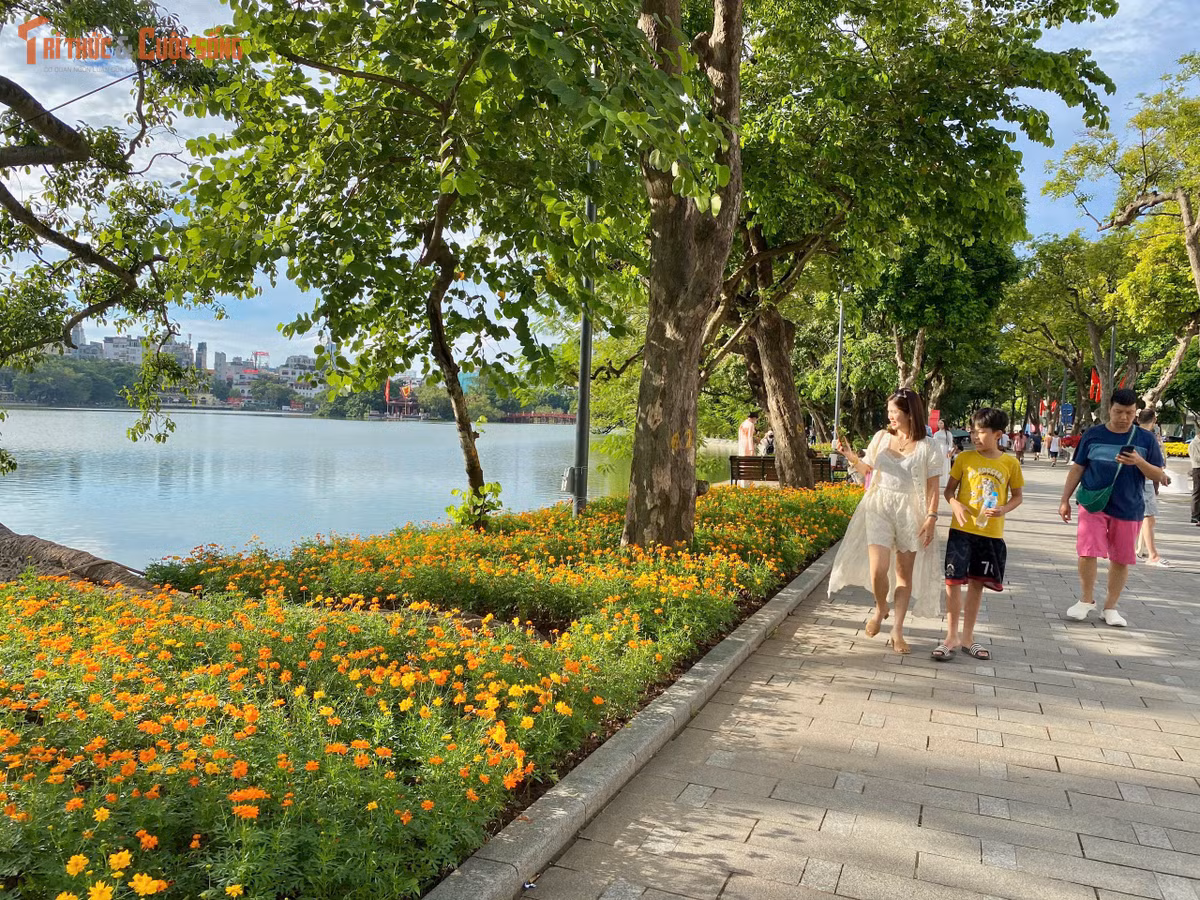 Dòng người thong thả dạo bước thưởng ngoạn mùa hoa mới, tạo nên bức tranh thu Hà Nội vừa cổ kính vừa căng tràn sức sống hiện đại.