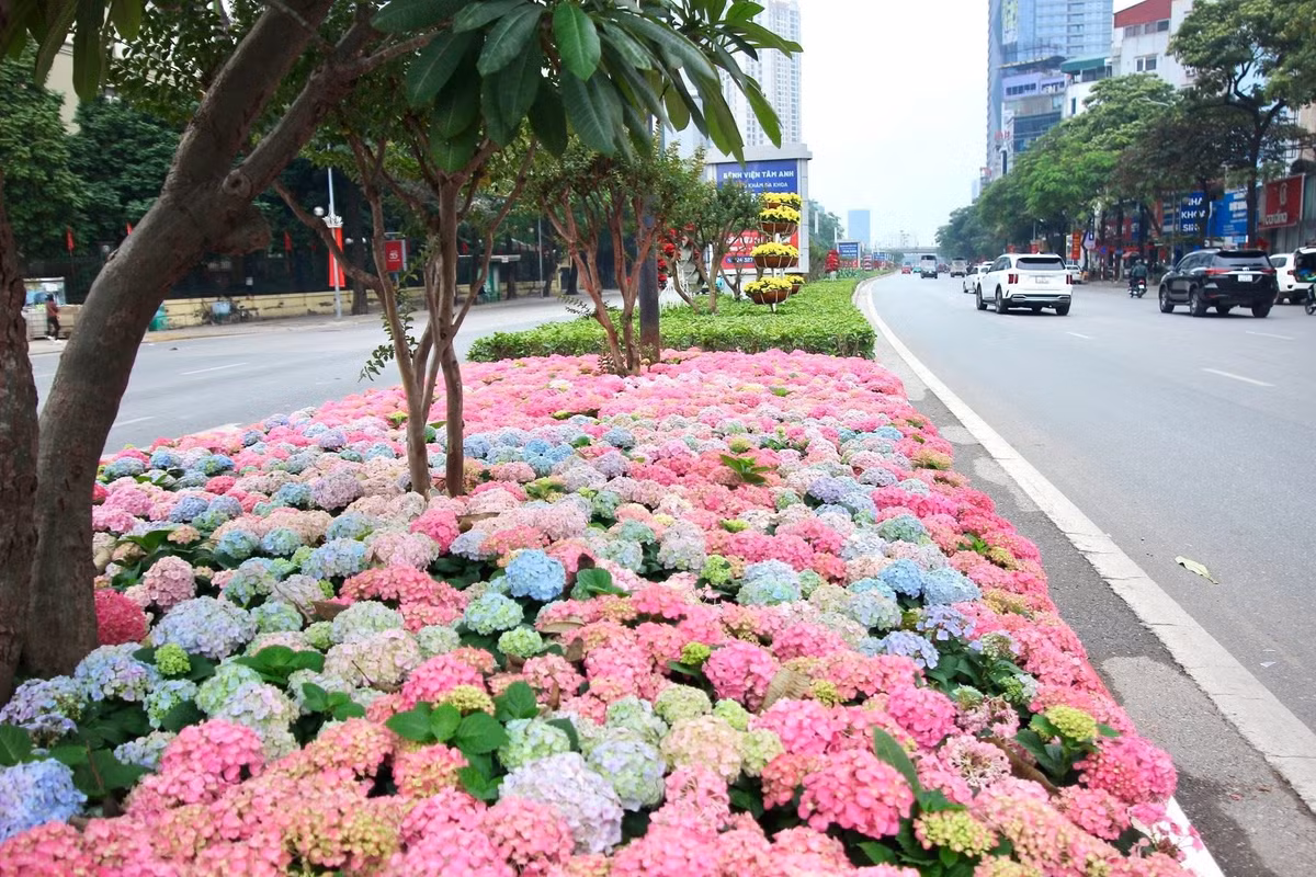 Rất nhiều bạn trẻ và các nhiếp ảnh gia không chuyên đã tranh thủ dừng chân ở những vị trí an toàn để lưu lại khoảnh khắc đẹp hiếm có này.