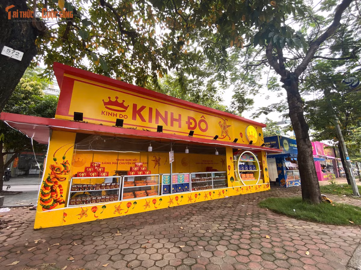 kto-tl_8b1a6a1a4a42ca1c935317.jpg
