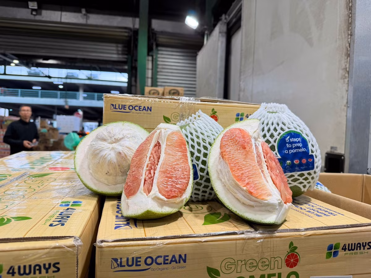 Việc bưởi được xuất khẩu sang Australia là động lực để nông dân phát triển nông nghiệp bền vững. Ảnh: Cục Bảo vệ và Trồng trọt thực vật.