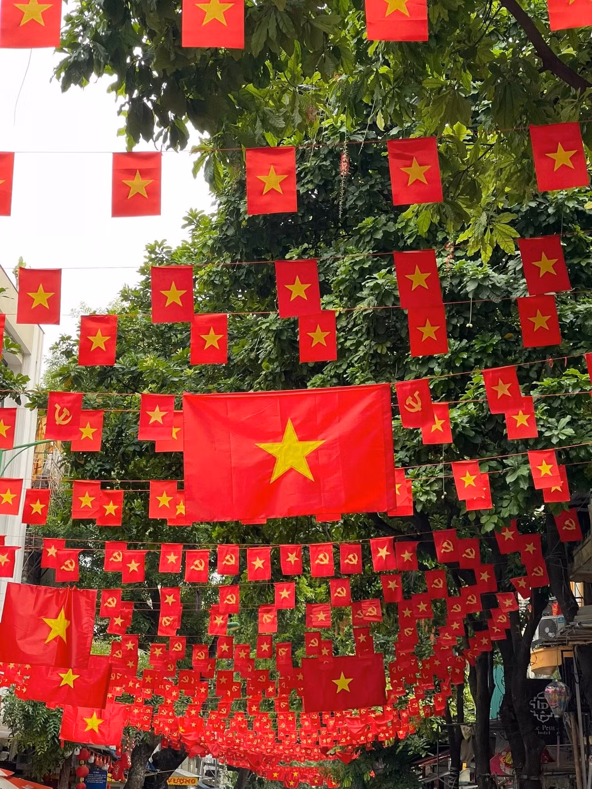 Trên mạng xã hội, nhiều người đã ghi lại những khoảnh khắc bắt gặp trên phố phường, đăng tải lên các hội nhóm để lan tỏa không khí hân hoan. (Ảnh: Hoàng Hiếu)