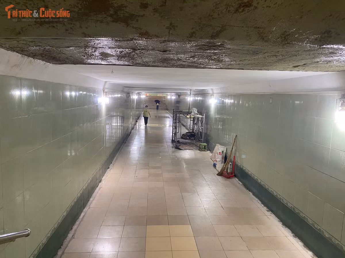 Mặt sàn và các bậc thang nhiều chỗ cũng trong tình trạng lở loét, nứt vỡ hoặc ẩm trơn, tiềm ẩn nguy cơ vấp ngã cao. Một số điểm còn bị chiếm dụng làm nơi nghỉ ngơi, ngủ trưa hoặc tập thể dục thay vì phục vụ mục đích giao thông chính.