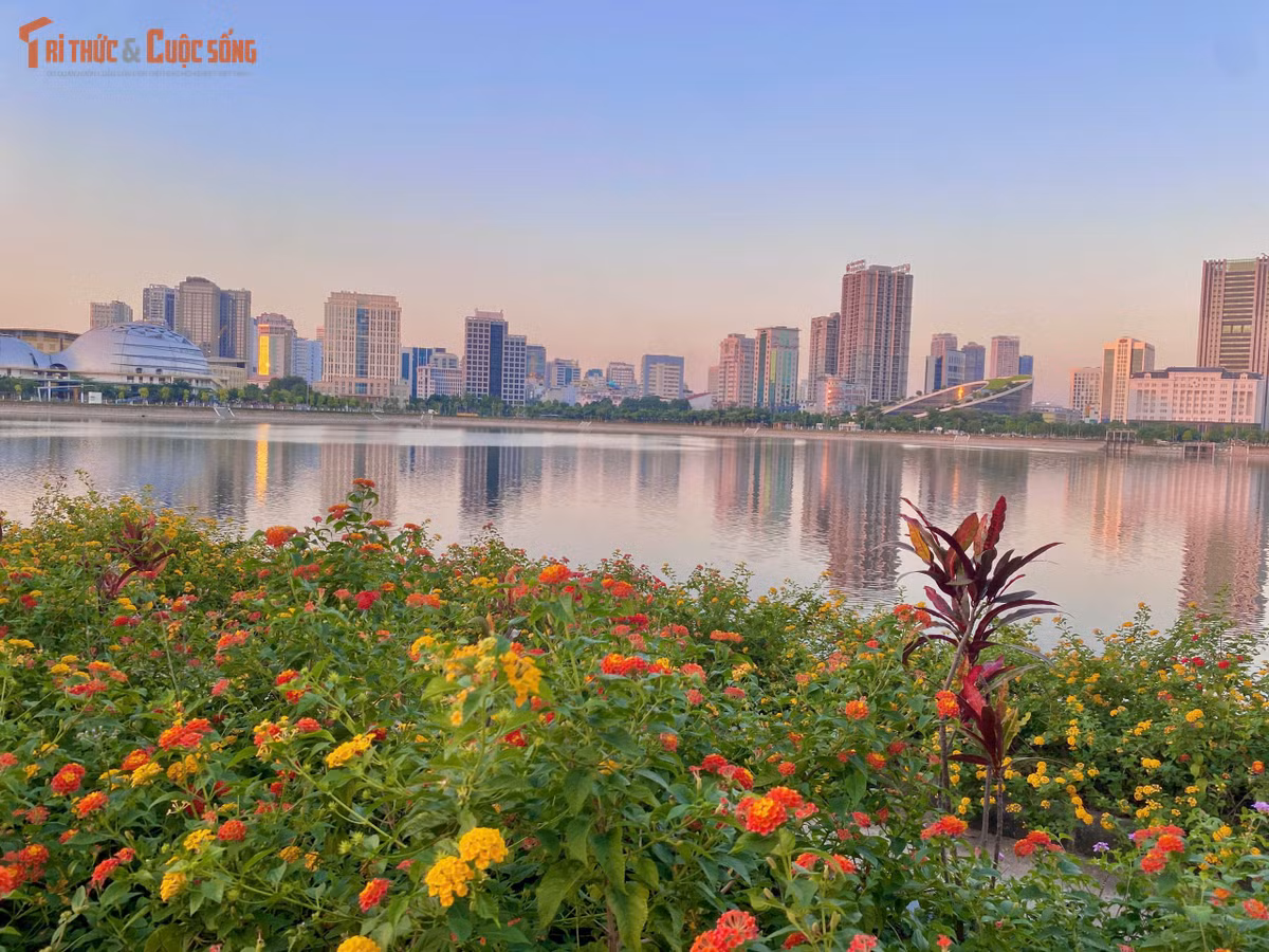 Những luống hoa được trồng xen kẽ, nối tiếp nhau chạy dọc bờ hồ, tạo nên một không gian dạo bộ tràn ngập hương sắc tự nhiên.