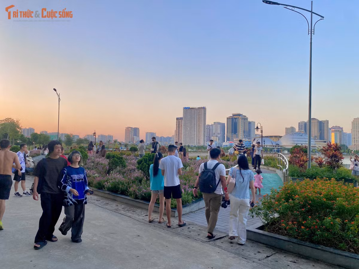Không chỉ có giới trẻ, nhiều gia đình và các em nhỏ cũng tranh thủ những ngày thời tiết đẹp để ra đây vui chơi, tận hưởng bầu không khí trong lành bên những thảm hoa đầy sức sống.