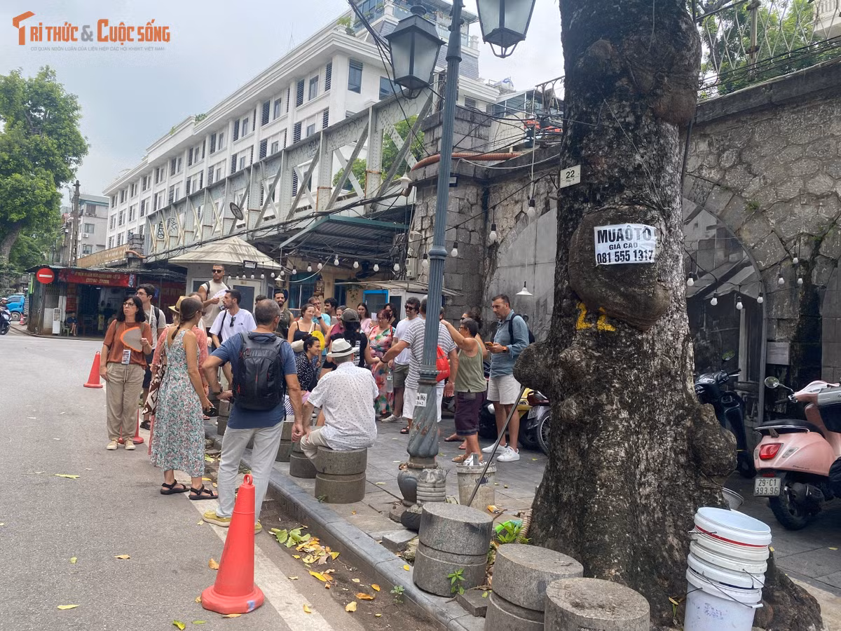 Đồ án mới mở ra kỳ vọng biến toàn bộ 131 vòm đá thành không gian sống động, hiện đại nhưng giàu giá trị lịch sử.