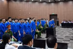 Mr Pips mắc bệnh lý tâm thần hưng phấn… sự thật thế nào?