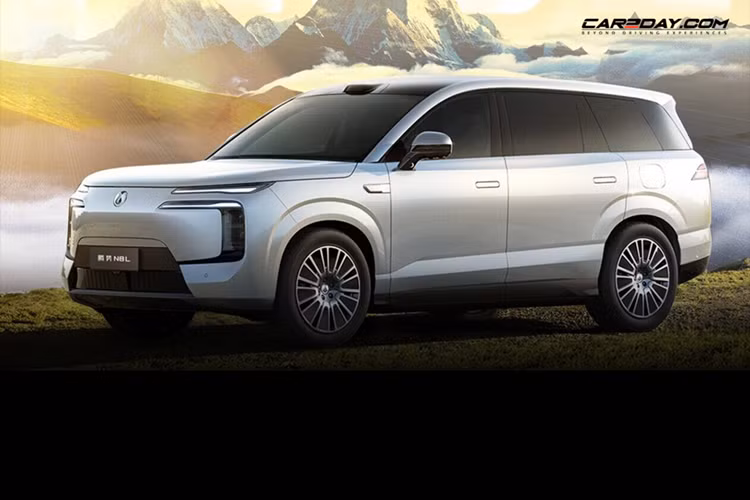 Denza N8L dự kiến sẽ ra mắt thị trường Trung Quốc vào cuối năm nay và có giá từ 350.000 - 400.000 Nhân dân tệ (khoảng 1,22 - 1,4 tỷ đồng). Xe sẽ cạnh tranh với những đối thủ nội địa như Li Auto L8, AITO M7 và WEY Lanshan.