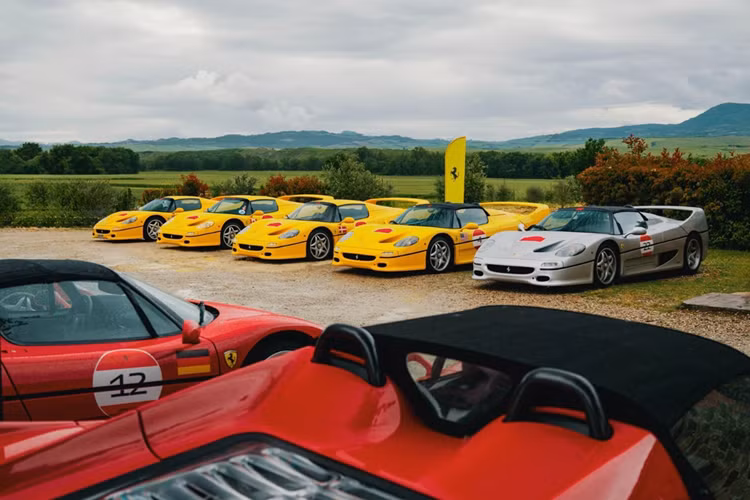 Hành trình F50 Legacy Tour 2025 quy tụ 23 chiếc Ferrari F50 đến từ hơn 10 quốc gia, hoạt động này chỉ dành cho các chủ nhân sở hữu F50 do Ferrari lựa chọn để tham gia sự kiện đặc biệt này. Lộ trình xuất phát từ thị trấn Saturnia tại Tuscany - địa danh du lịch nổi tiếng tại Italy với hệ thống suối nước nóng độc đáo.