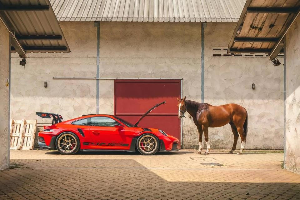 Không chỉ đại diện cho nhiều thương hiệu, ngựa còn là nguồn cảm hứng cho nhiều mẫu xe, trong đó có nhiều phiên bản đặc biệt được sản xuất với số lượng giới hạn.