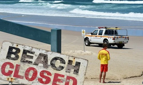 Tắm biển, du khách Nhật bị cá mập cắn đứt hai chân