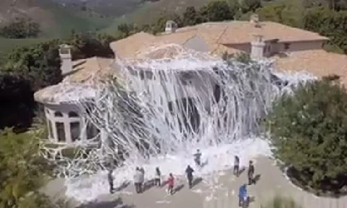 "Khủng bố” bằng ma trận giấy vệ sinh giăng kín nhà