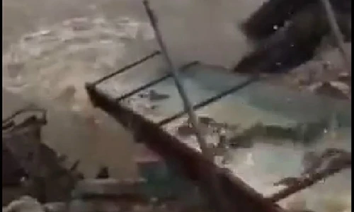 Khó tin lễ phóng sinh lớn chưa từng thấy