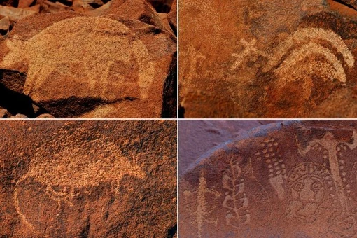 Thư viện đá 40.000 năm tuổi giữa sa mạc Úc khiến thế giới kinh ngạc 