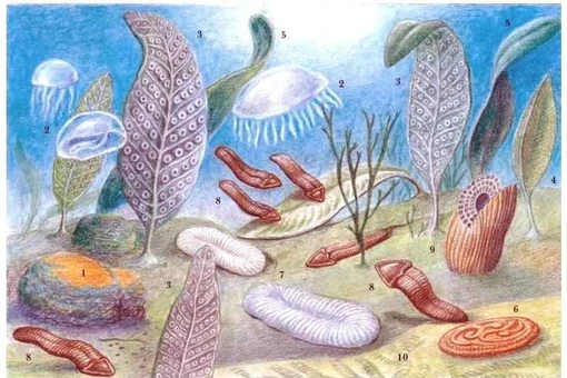 Sinh vật 'không thuộc về thế giới này' khiến khoa học bối rối xuyên thế kỷ 