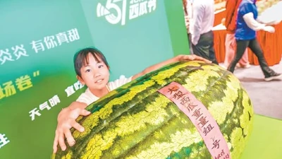 Dưa hấu "quái vật" 100kg ở Trung Quốc thế giới choáng váng