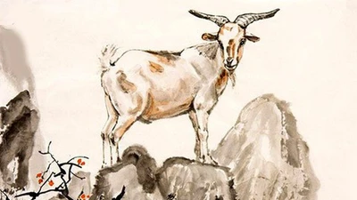 Tử vi tuần mới (7 - 13/7): 3 con giáp vượt khó thành công