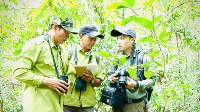 'Nhà khoa học' của rừng