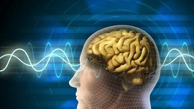 Chuyên gia dự đoán tuổi thọ của con người qua não bộ