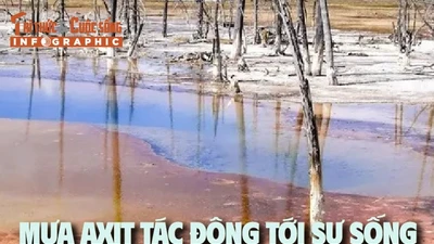 [INFOGRAPHIC] Mưa axit tác động tới sự sống trên Trái đất thế nào?