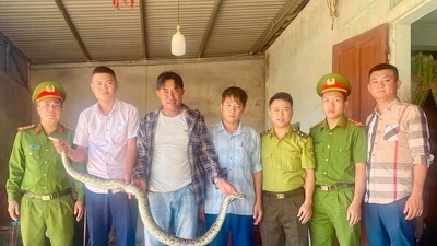 Vườn Quốc gia Vũ Quang tiếp nhận động vật quý hiếm từ người dân