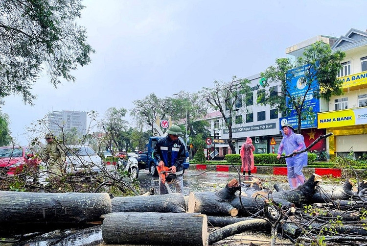 Nghệ An khẩn trương thu dọn cây xanh gãy đổ sau bão số 10, đảm bảo an toàn cho người dân. bna-5.jpg