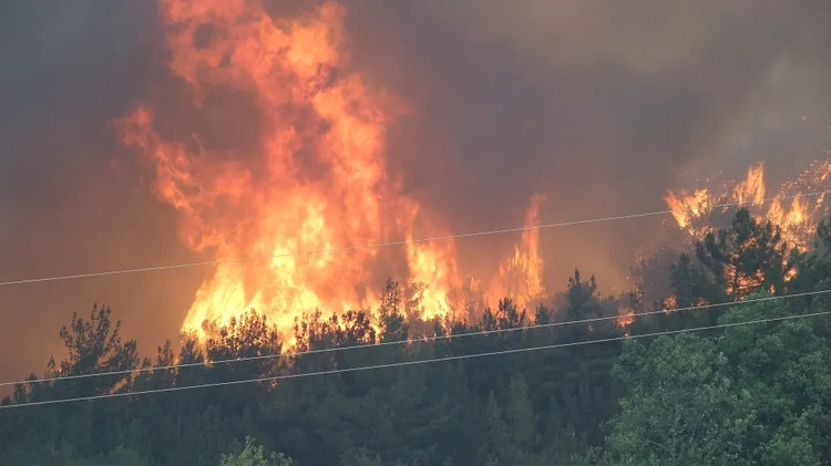 Meanwhile, in Türkiye, 14 people have died in raging forest fires as the country faces a record heatwave with temperatures reaching 50 degrees Celsius. Photo: Getty. rung5.png