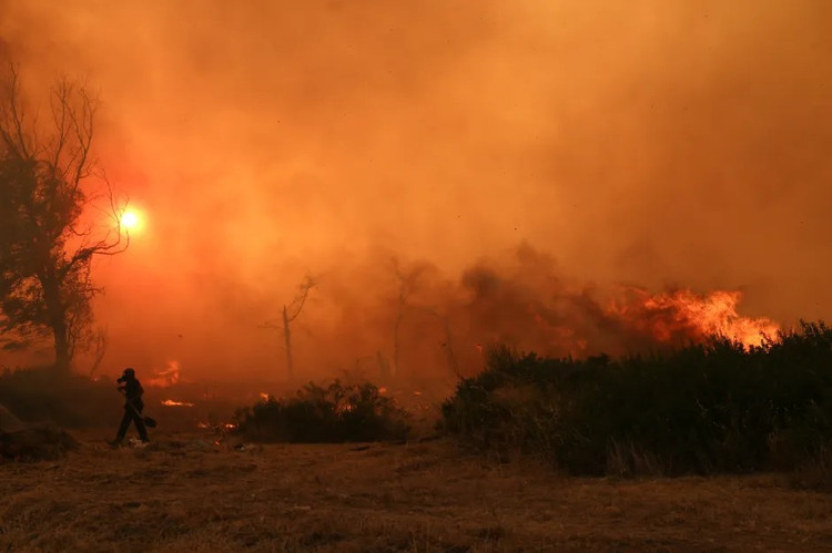 According to the Daily Mail on July 28, forest fires broke out throughout the night of July 27 in Greece, with more than 50 fires, forcing many families to evacuate to safety. Photo: Getty. rung1.png