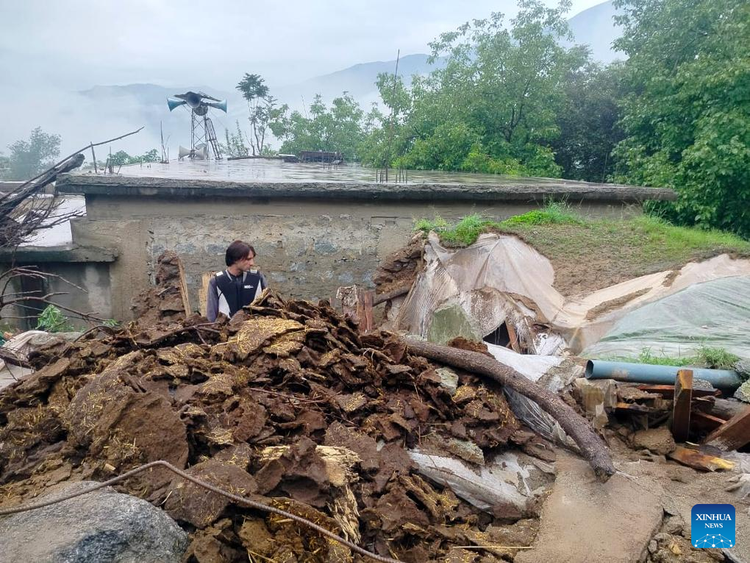 Một người đàn ông đứng giữa đống đổ nát của ngôi nhà bị phá hủy sau trận mưa lớn ở một ngôi làng tại Bajaur, tỉnh Khyber Pakhtunkhwa, ngày 15/8/2025. Ảnh: THX. lu2.jpg