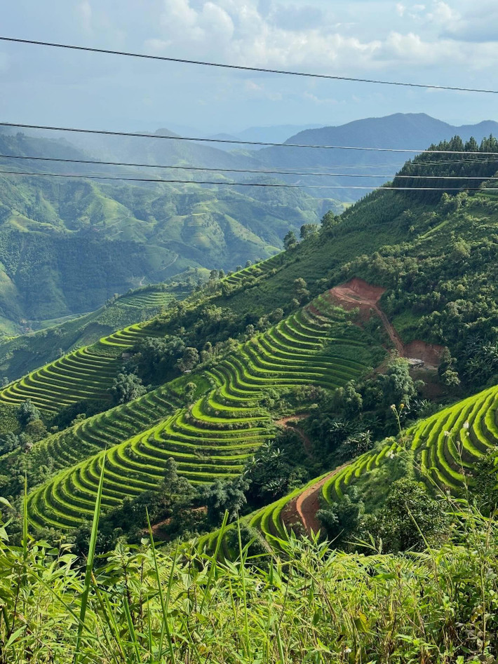Mỗi mùa đến với Bản Liền là một trải nghiệm riêng: mùa xuân trắng hoa mận, mùa hè rực rỡ đồi chè, mùa thu vàng óng lúa chín, mùa đông sương mù giăng lối. Ảnh im.tthuu