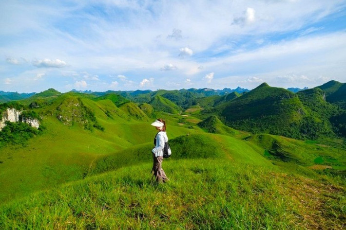 Nằm giữa vùng biên viễn hoang sơ, đồi cỏ Vinh Quý tựa như một thảo nguyên thu nhỏ với không gian rộng mở, thoáng đãng và phủ kín những triền cỏ xanh rì. Vào độ thu sang, cả quả đồi như được nhuộm màu tươi mát, mềm mại dưới ánh nắng vàng dịu, tạo nên khung cảnh khiến người ta chẳng nỡ rời mắt. Ảnh dulich