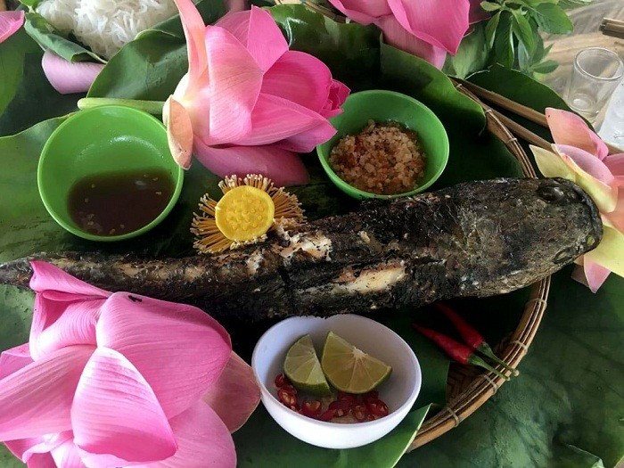 Cá lóc được chọn là loại cá đồng, thường được bắt từ các kênh rạch hoặc đồng ruộng sau mùa nước nổi. Ảnh dulichvietnam