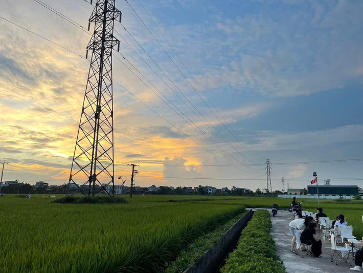 Những ngày gần đây, mạng xã hội lan truyền loạt ảnh về một quán cà phê đặc biệt nằm giữa đồng lúa xanh mướt ở xã Nguyên Xá, Thái Bình. Ảnh Vietnamet