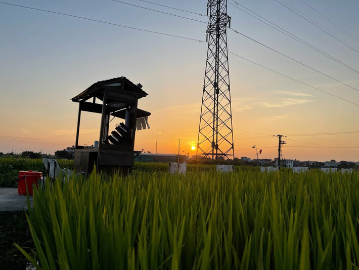 Gió đồng thổi nhè nhẹ, hương lúa thoang thoảng, tiếng chim líu lo... tất cả tạo nên một khung cảnh thư giãn, tách biệt với phố thị ồn ào. Ảnh Vietnamet