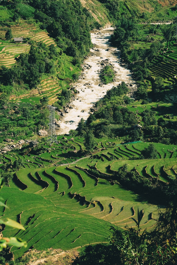 FLC Travel cũng tổ chức tour Y Tý – Lũng Pô – mỏm đá sống ảo, phù hợp với giới trẻ đam mê "check-in" và chụp ảnh. Ngoài ra, Khám Phá Việt Travel còn khai thác tour kết hợp Y Tý – Bắc Hà 3 ngày 2 đêm, đưa du khách tham dự chợ phiên vùng cao, khám phá ẩm thực địa phương. Với những ai yêu thích nhiếp ảnh và săn mây, VietTrekking có tour Y Tý mùa hè kết hợp săn mây Ngải Thầu – được mệnh danh là “thiên đường trên mây” của Tây Bắc. Ảnh Tuyên Parafu