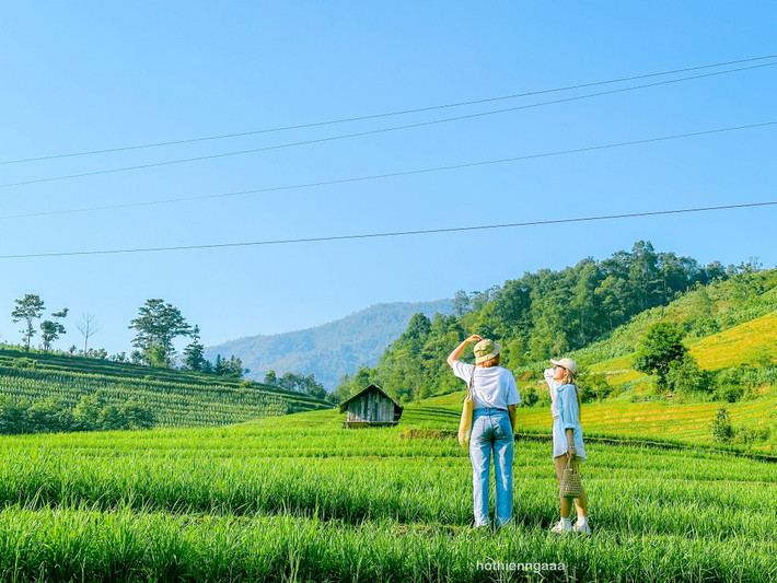 Nậm Cang là bản làng nằm sâu trong xã cùng tên, thuộc huyện Sa Pa, tỉnh Lào Cai. Nơi đây cách trung tâm thị xã Sa Pa hơn 30 km, đường đi quanh co, men theo triền núi, xuyên qua những cánh rừng tre và những thửa ruộng bậc thang nằm chênh vênh giữa sườn đồi. Ảnh Hồ Thiên Nga
