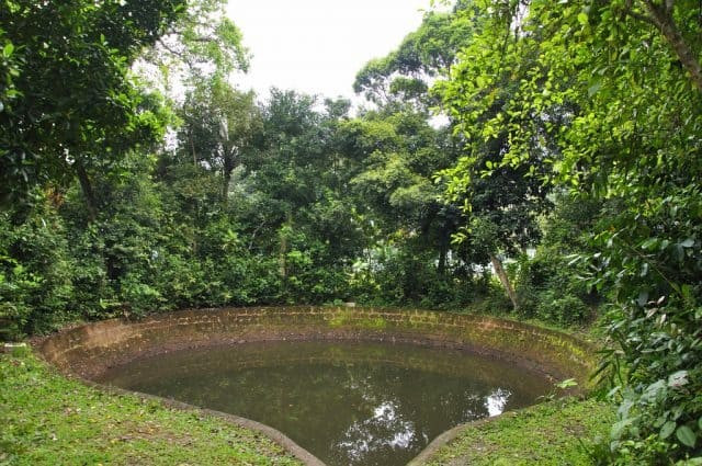 Giếng Cốc và cây đa cổ thụ trong khuôn viên cũng tạo nên một không gian tĩnh lặng, mộc mạc, đưa du khách quay trở lại với những cảm xúc ấm áp và gần gũi của làng quê Việt Nam xưa. Ảnh Vn Trip