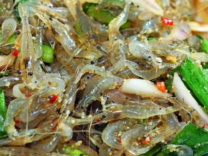 Du khách đến Quảng Trị không chỉ được thưởng thức món gỏi tép nhảy, mà còn có cơ hội trải nghiệm phong cách ăn uống độc đáo của người dân nơi đây. Ảnh dulichvietnam