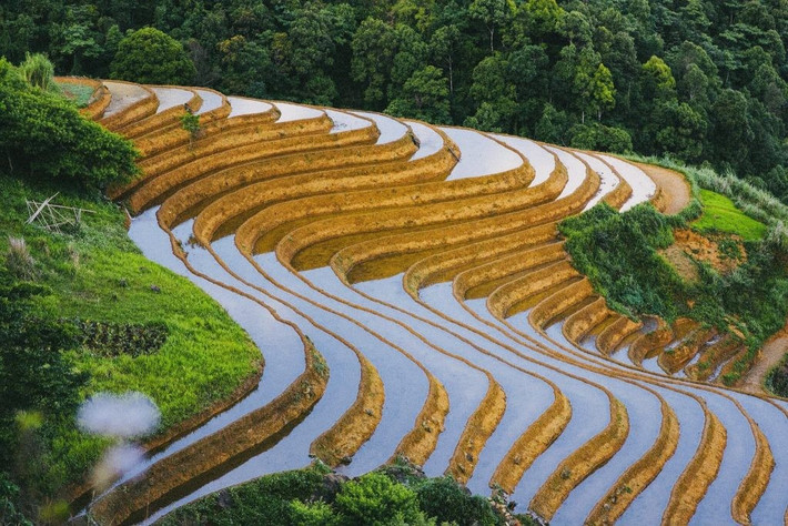 Không khí trong lành kết hợp với cảnh sắc hữu tình khiến nơi đây trở thành một thiên đường bình yên, nơi du khách có thể hòa mình vào thiên nhiên, thư giãn và tận hưởng khoảnh khắc tĩnh lặng. Ảnh Tà Xùa