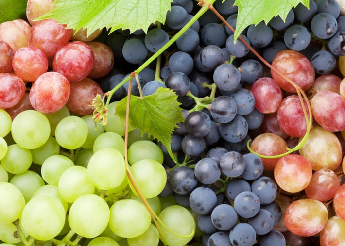 Nho, đặc biệt là nho đỏ và nho đen, rất giàu resveratrol, một hợp chất chống oxy hóa có tác dụng bảo vệ gan khỏi tổn thương và giảm viêm. Nghiên cứu cũng cho thấy resveratrol giúp cải thiện tình trạng gan nhiễm mỡ và làm giảm lượng mỡ trong gan. Việc bổ sung nho vào chế độ ăn giúp cung cấp các chất dinh dưỡng cần thiết và hỗ trợ gan hoạt động tốt hơn. Ảnh Internet