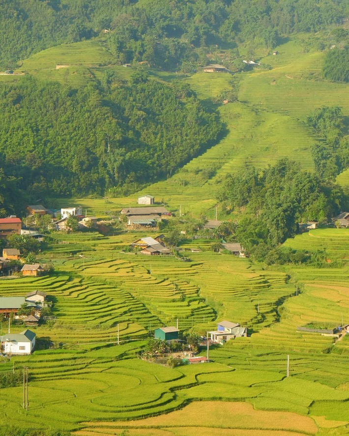 Nằm cách trung tâm thị xã Sa Pa khoảng 12 km, Tả Van nép mình giữa thung lũng Mường Hoa xanh mướt, là nơi sinh sống của đồng bào người Giáy, H’Mông và Dao đỏ. Trái ngược với không khí náo nhiệt ở bản Cát Cát – điểm đến quen thuộc của nhiều tour du lịch đại trà – Tả Van giữ cho mình nhịp sống yên bình, chậm rãi. Những ngôi nhà sàn bằng gỗ nằm rải rác bên sườn núi, bao quanh là những thửa ruộng bậc thang trải dài, đổi màu theo mùa: xanh non khi lúa bắt đầu thì con gái, ánh vàng rực rỡ vào mùa thu hoạch, rồi nâu trầm sau vụ, và óng ánh nước trong mùa cấy. Ảnh Bùi Quang Thụy
