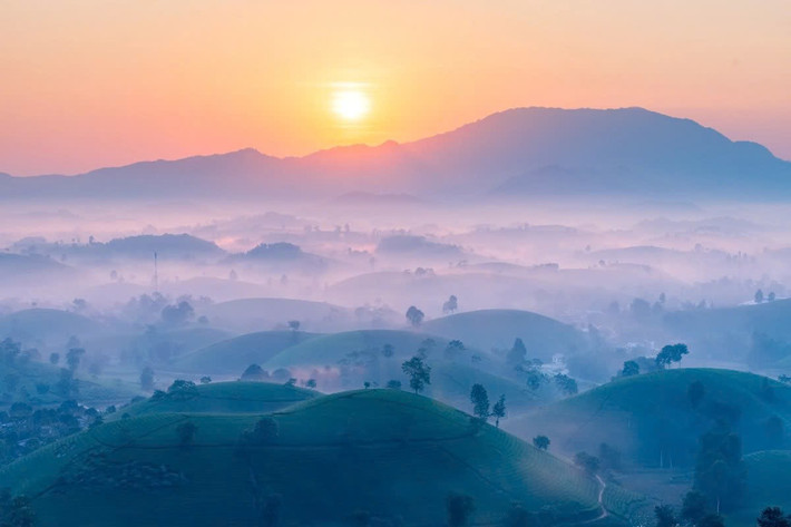 Những tia nắng ấm đầu tiên từ phía chân trời vừa đủ để làm bừng sáng không gian, trong khi sự tĩnh lặng của đồi chè càng làm nổi bật vẻ đẹp huyền bí của thiên nhiên. Ảnh Ngọc Nhất