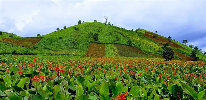 Du khách đến đây không chỉ được thưởng ngoạn cảnh đẹp, mà còn có thể theo chân bà con trải nghiệm quy trình làm miến, để thấy rõ sự gắn bó giữa con người và thiên nhiên. Ảnh Nguyễn Quang Hưng