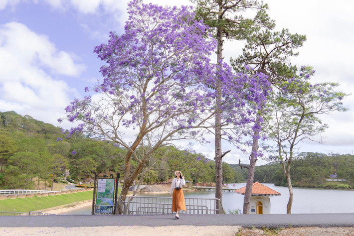 Ngày thứ hai, du khách có thể bắt đầu chuyến tham quan tại Thung Lũng Tình Yêu. Với phong cảnh lãng mạn, nơi này là điểm đến lý tưởng cho các cặp đôi và những ai yêu thích thiên nhiên. Tiếp theo, ghé thăm Đồi Mộng Mơ, nơi bạn có thể thả mình trong không gian tươi mát của các khu vườn hoa và tham quan các công trình kiến trúc độc đáo. Ảnh SuMi
